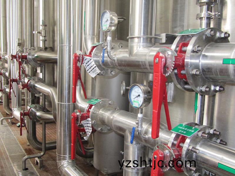 飲料廠20m3ph純水(shui)係統