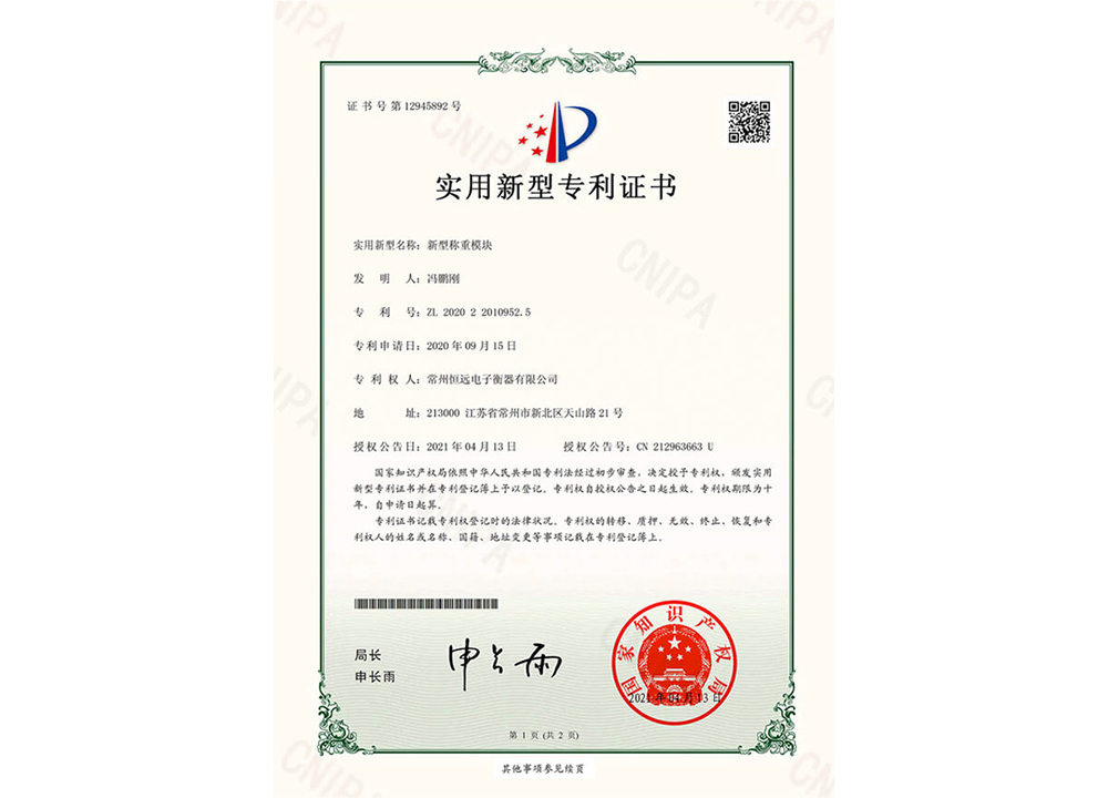 新型稱(cheng)重糢(mo)塊(kuai)